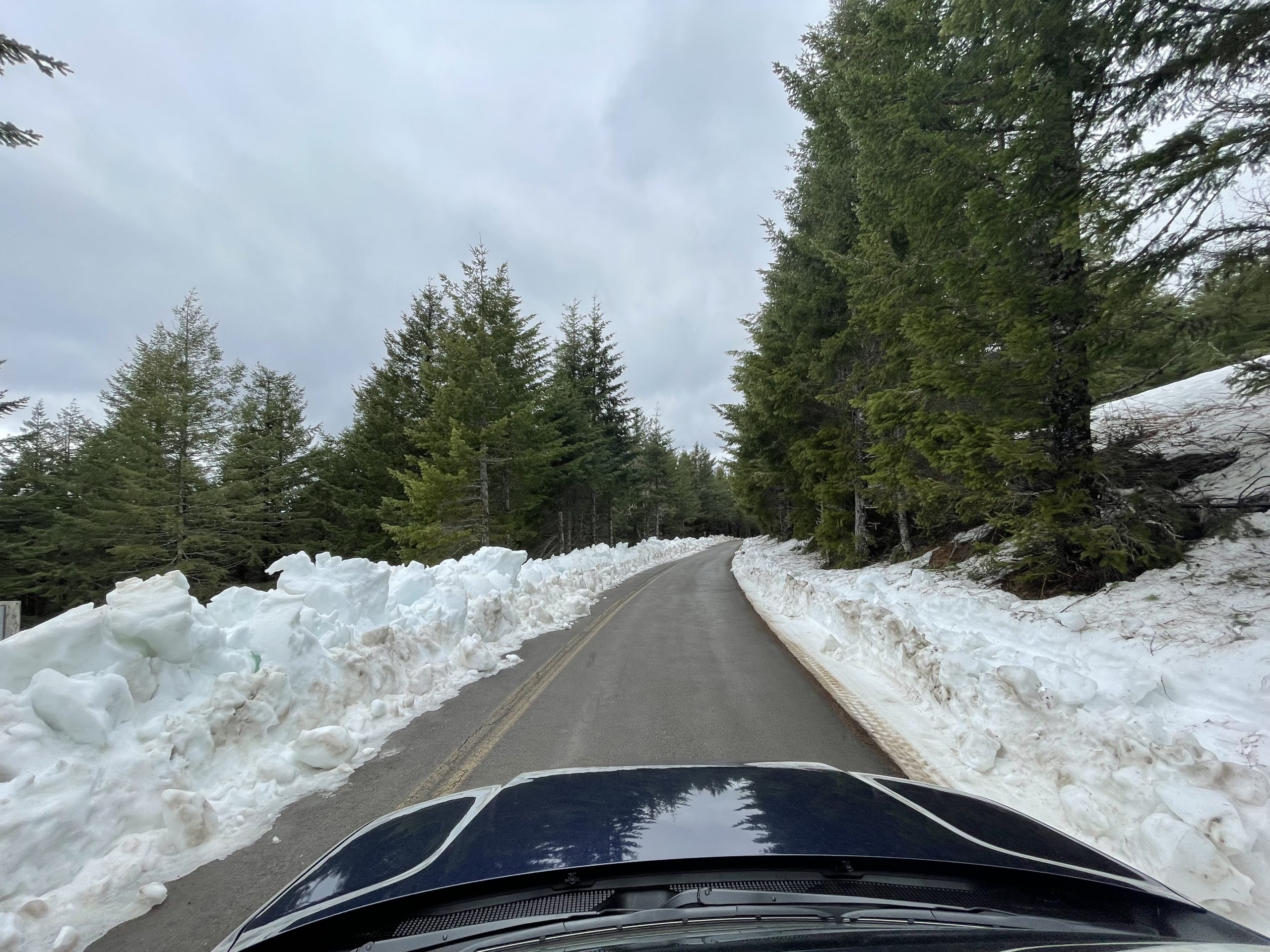 View f rom the top of a SUV of a bare road through a snowy field with green trees in the distance under a cloudy sky